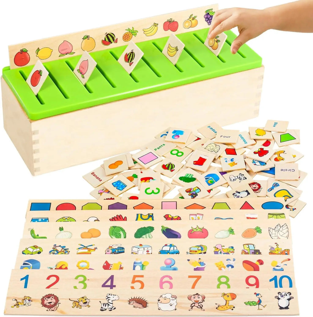 Sorting Activities Box